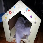 [완두콩이] <b>한</b><b>지붕</b>세여인 6탄