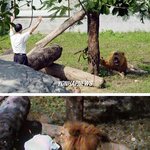 목사와 <b>신도</b>의 수준차이