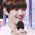 [EXO] 백현이 판본다 고만해라