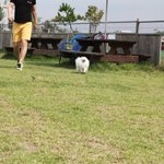 [<b>베리</b>엘리] [크림폼,화폼] <b>베리</b>엘리 2탄들고 왔어요 :) 사진짱짱많아요