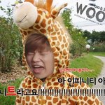 [인피니트] 사과문쓰시기전에..