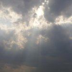내 생각엔 좀 괜찮아 보이는데 어때<b>요들</b>~?