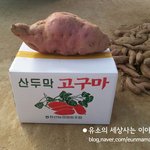 기네스북에 올라갈 수 있을까요?ㅋㅋ