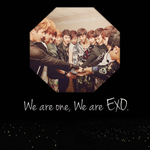 [EXO] 문제1.<b>we</b> are one뜻을 말하시오