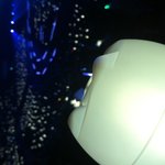 [비스트] <b>다크</b>그레이