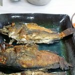 아침은주문진 점심은대구 저녁은부산