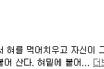 [exo] 엑소 팬덤이름 기발한거 알아냄!!!