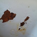 <b>lg</b>직원들은 녹슨김치 냉장고에 김치 담어먹나요???