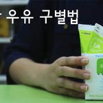 당신의 코를 믿지 마세요! 상한 우유 구별하는 방법!