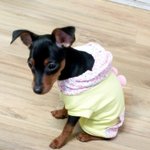 [완두콩이] <b>한지붕</b> 세여인8_ 특별히 성의 없는 판