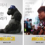 <b>씽크</b>로율 100% 고릴라..