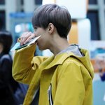 [EXO] 밝은옷이 잘어울리는 <b>병아리</b>세훈