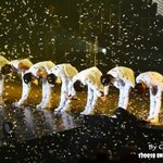 [인피니트] 잘 추스려.기다릴께.