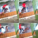 [동물보호] 바다코끼리 학대ㅠㅠ 동물<b>원법</b>이 시급합니다