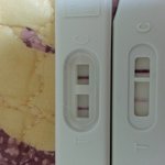 임신이<b>확실</b>한가요?