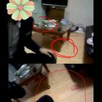 [일찐] 백현 담배 일찐인증 맨소래담 담배 <b>캡처</b>