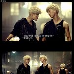 [BAP] 주농이의 <b>실체</b>