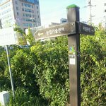 [봉사활동] +수정)유기견보호센터 봉사 후기