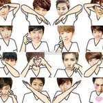 [exo] 백현이오빠  필독멤버오빠들도