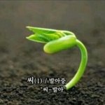 [exo] 아근데 <b>심슨</b>련