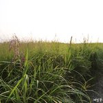 [가을데이트] 여자들 주목! 가을 데이트코스 및 데이트룩 추천이욧...