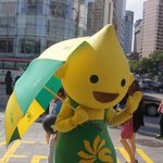 s오일 구도일~ 명동에서 댄서들이랑 플래시몹을?!