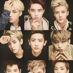 [EXO] 멤버들 실물 본 적 있는 사람??