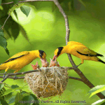 생명은 생명에서,그리고...