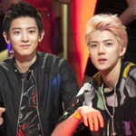 [EXO] 내취향 목소리