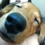 귀염"둥이" 입니다^^*
