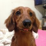 또...또 "둥이"^^;;;입니다..