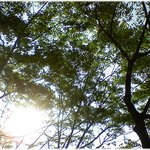 [사는얘기] (나에게 쓰는 편지) * 관계에도 <b>적당</b>한 거리가 필요하다...