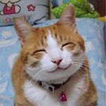 예수님, 하나님 믿는 행동이 궁금합니다.