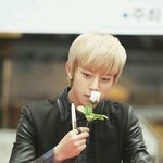 [BAP] 정요정 <b>부활</b>함 ㅠㅠ