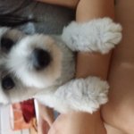 저희집 <b>해머</b>에요~~~