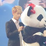 [EXO] 백혀니랑 <b>팬더</b>