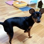 [완두콩이] <b>한지붕</b> 세여인 10_ 종이가방이 좋냥!! 싫개!!