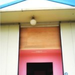 [인어공주] 버림받고 상처받은 냥이들이 계속 들어오고 있는 슬픈...