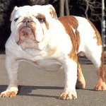 [조언부탁] <b>볼살</b>처짐때문에 ㅡㅡ친구들이 자꾸 놀려요