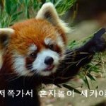 [BAP] 그냥 여기 오는 관<b>종들</b>은