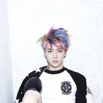 [EXO] 오세훈앵무새때가그립다