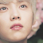 [EXO] <b>사슴</b> 루하니...굿~