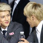 [EXO] 나도 <b>오센</b>입덕  <b>오센</b>애정함