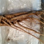 <b>발칙</b>한 도라지 커플!