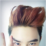 [EXO] 혹시 입덕<b>계기</b>가