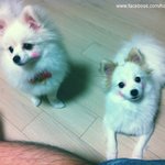 [한글이] 과거회상중... 한글이판 [45]