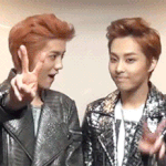 [EXO] 시우민 <b>차학연</b> 닮은짤