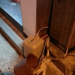 [도와주세요] 고양이좀도와주세요!!