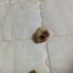 [이것좀봐줘] 이게 뭐죠?홈쇼핑에서 구매..하루<b>한줌</b>견과..