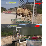 [인피니트] 로고 감추고 올릴게 땡큐^^